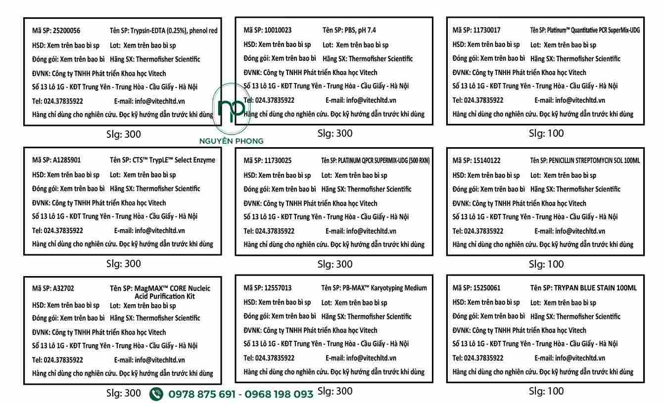 mau-tem-nhan-do-choi-dep-13